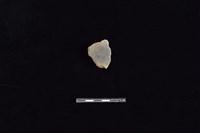 藏品(陶片)的圖片